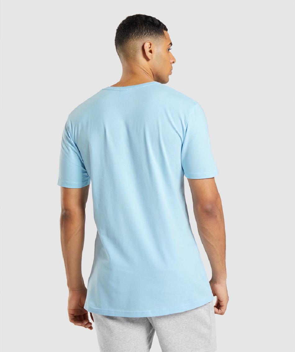 T Shirts Męskie Gymshark Essential Beżowe Niebieskie | PL 3851JPQ